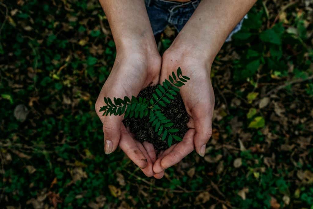 Jovens e crianças plantam perto de uma centena de plantas