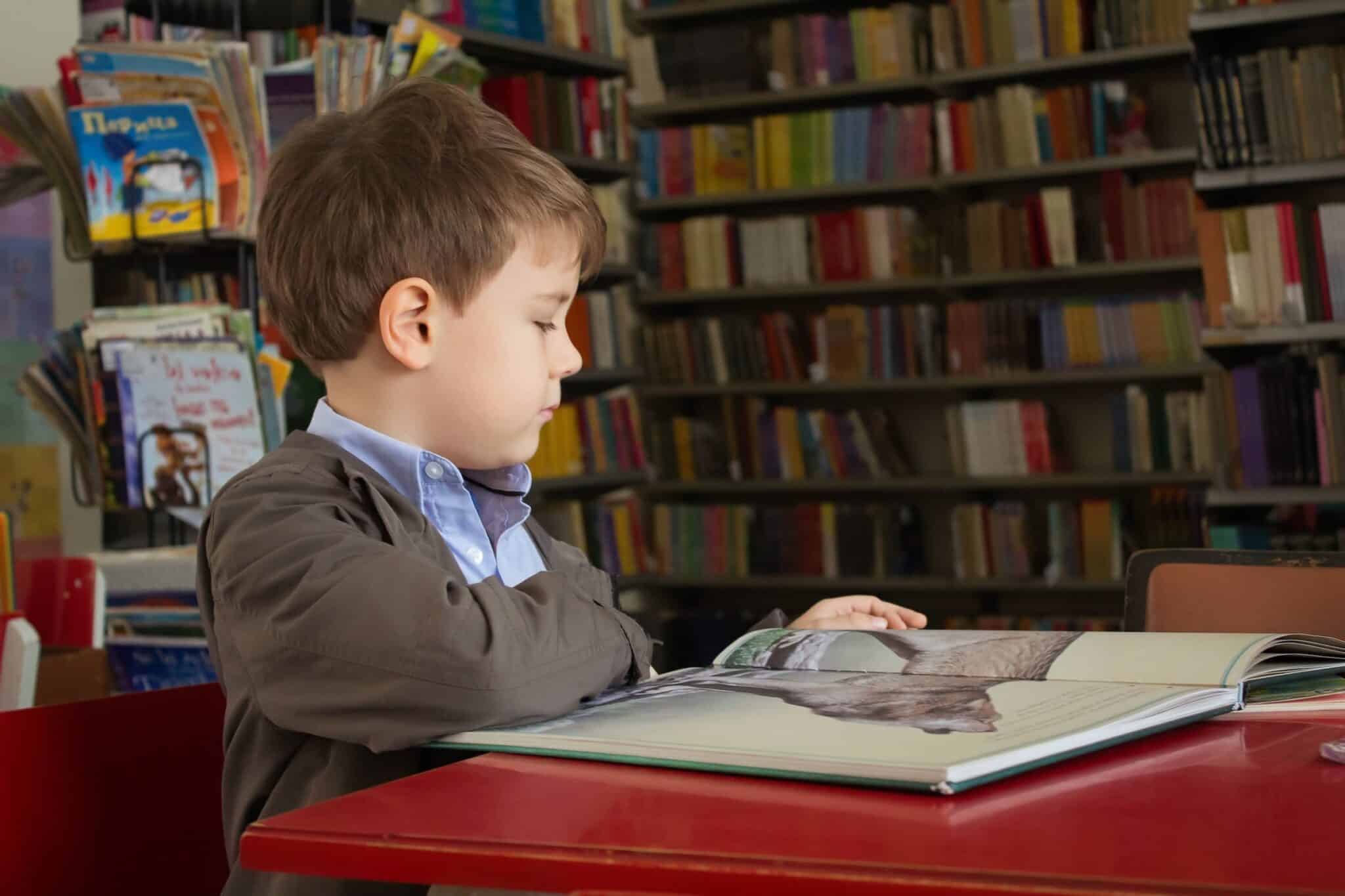 Governo quer permitir que licenciados em Educação Básica deem aulas no 1.º ciclo sem mestrado