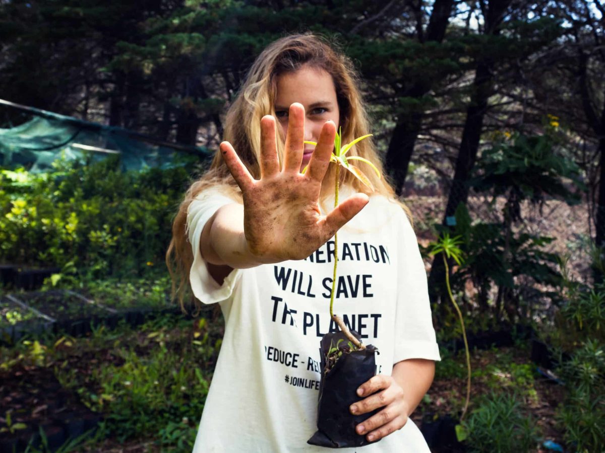 Comunidade convocada para ações de plantação