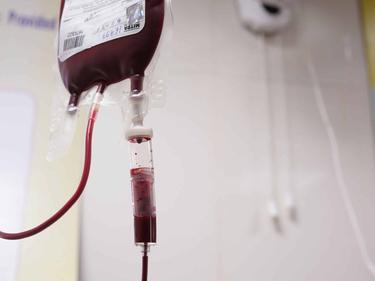 Estudo revela desconhecimento e barreiras à doação de sangue entre estudantes da UMa
