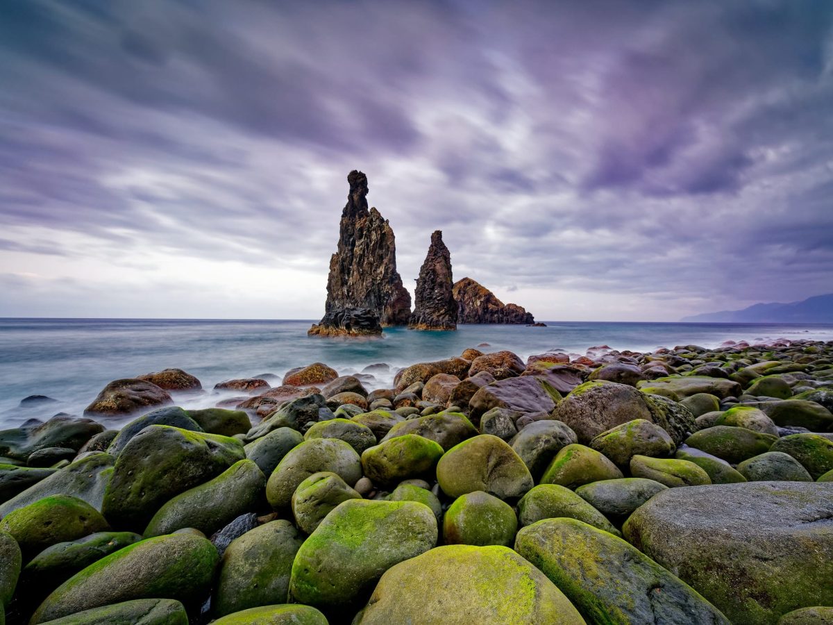 Ambiente e sustentabilidade em discussão