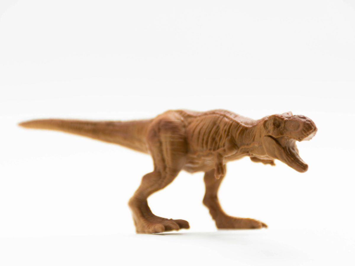 Centenas de pegadas de dinossauros descobertas