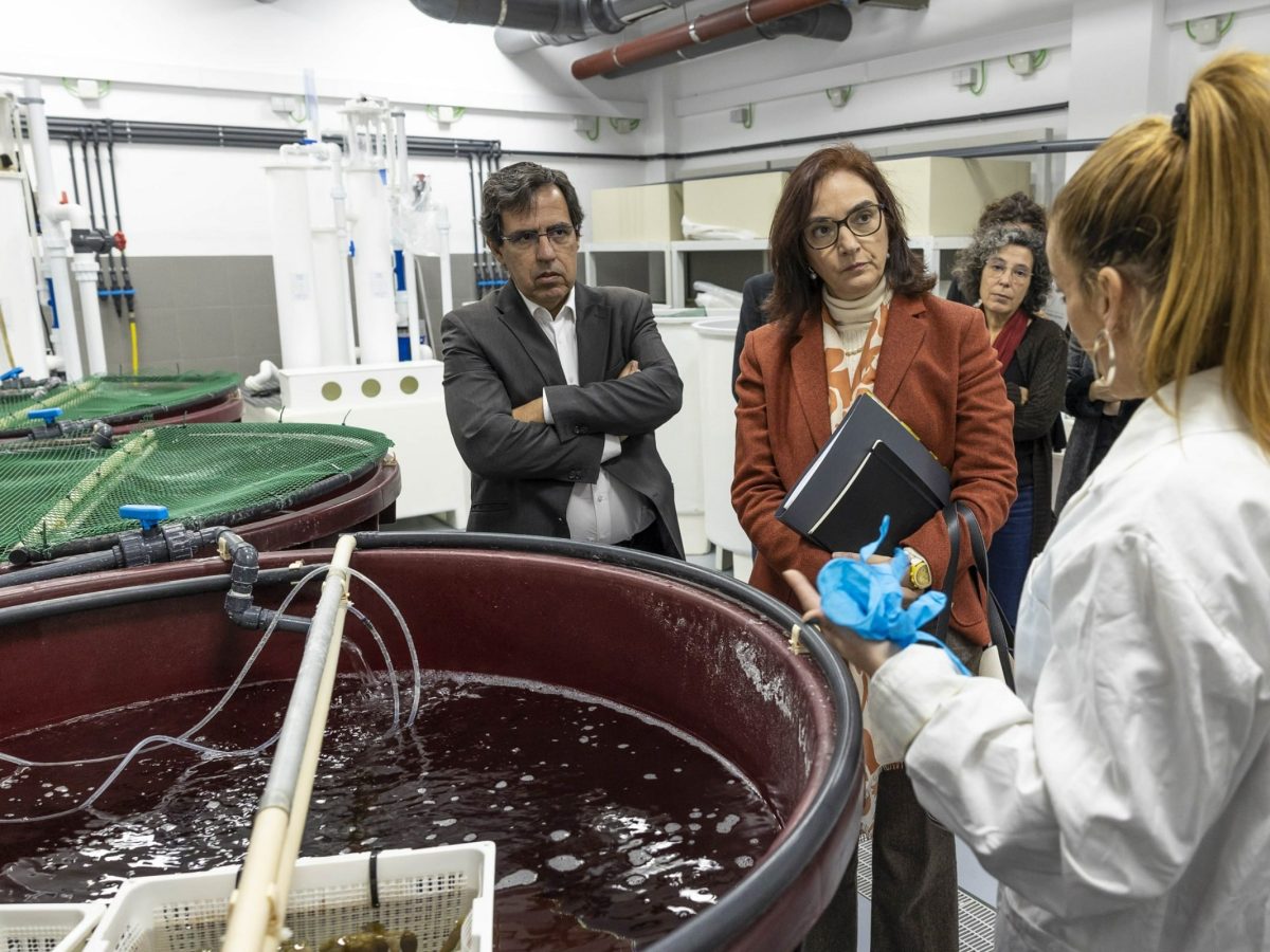 Elvira Fortunato, Ministra da Ciência, Tecnologia e Ensino Superior do XXIII Governo Constitucional de Portugal, em o Laboratório Experimental para Organismos Aquáticos (LEOA) da Universidade do Algarve, no âmbito do «Governo mais próximo», Faro, 1 março 2023.