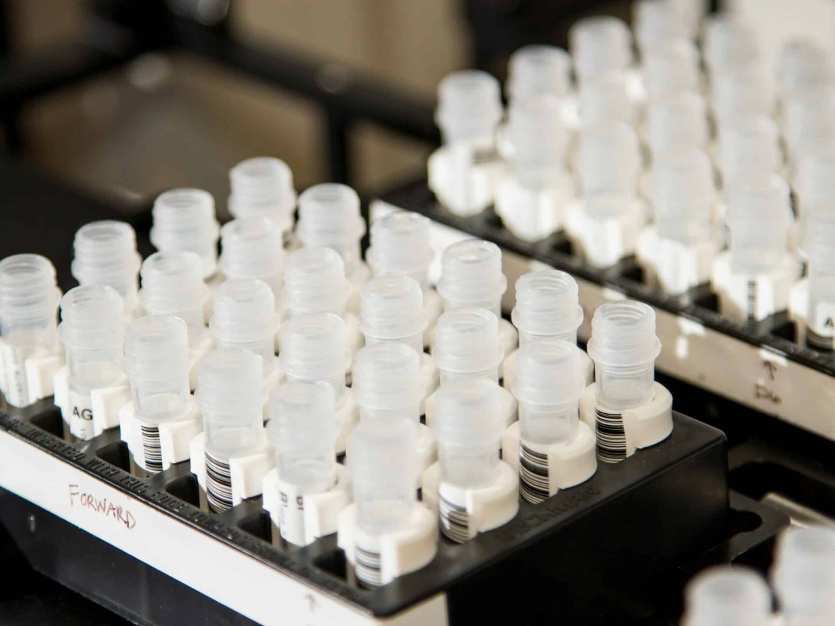 Centro de Química da Madeira volta a oferecer estágios para estudantes no verão