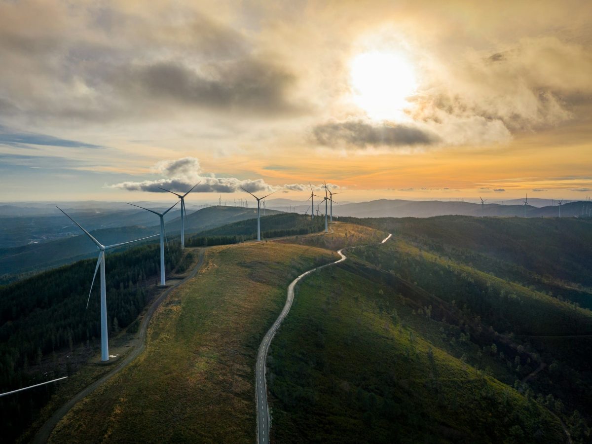 Três projetos desenvolvidos em Portugal entre os vencedores do ERC Consolidator Grant 2024