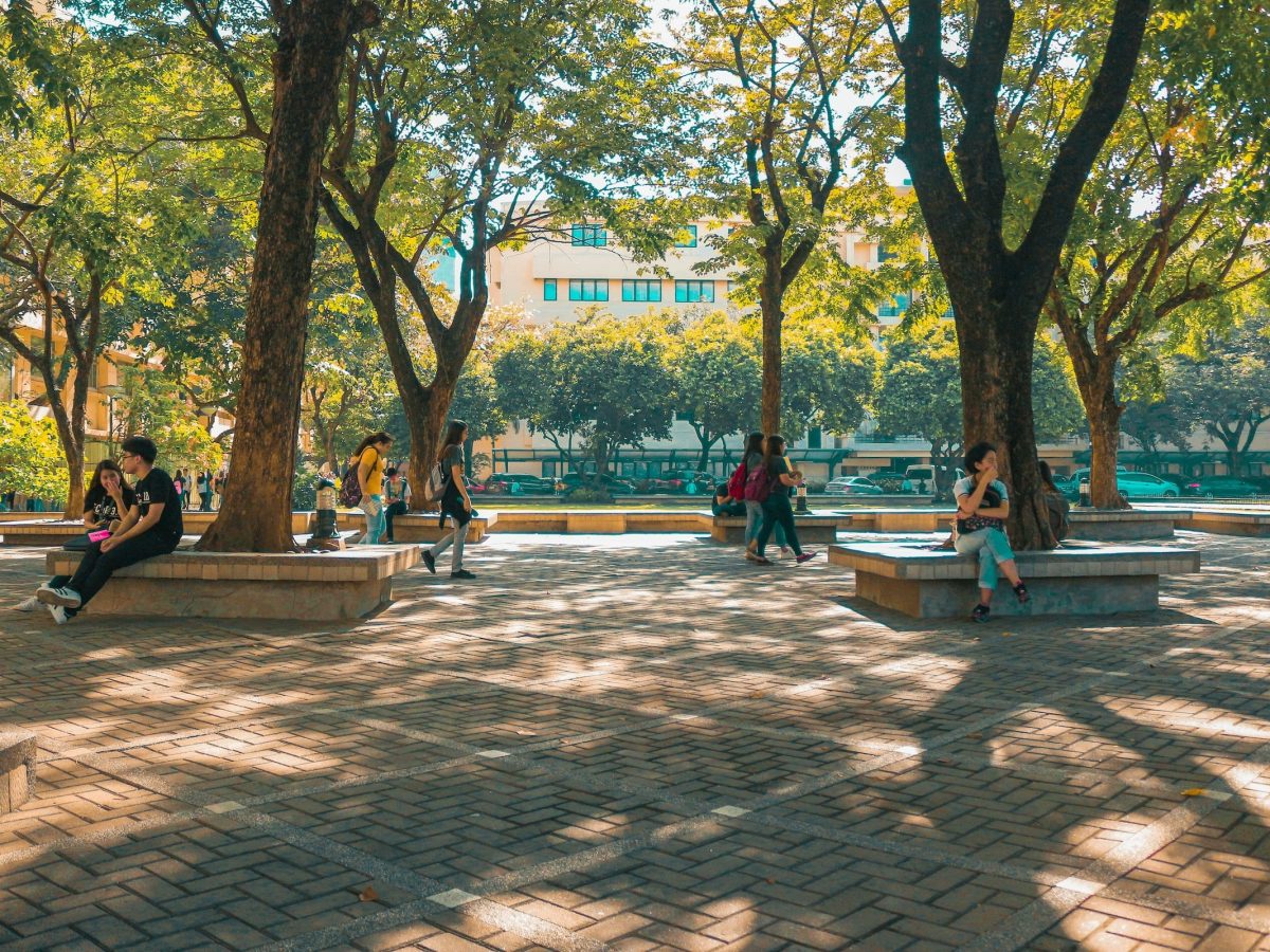 Sucesso académico e prevenção do abandono no ensino superior