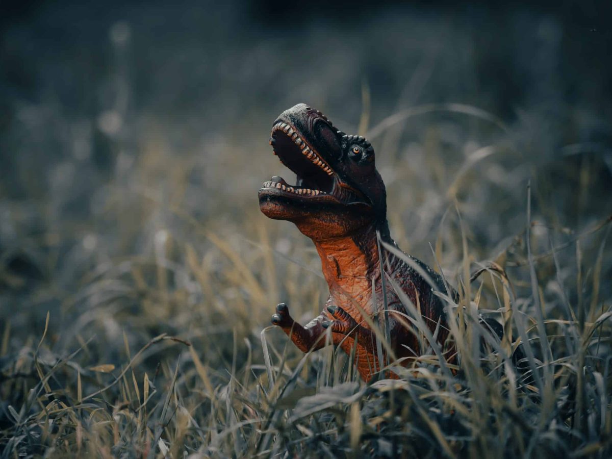 Pegadas de dinossauros com 168 milhões de anos reveladas em Torres Novas