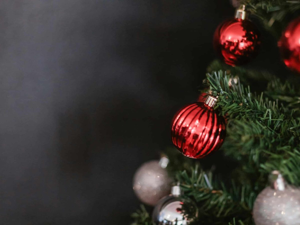 Inauguração da árvore de Natal comunitária