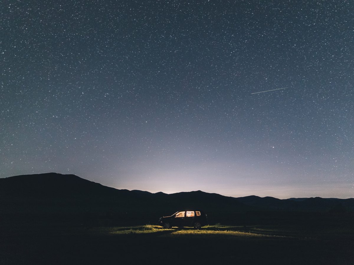 Biodiversidade noturna ameaçada pela Poluição Luminosa